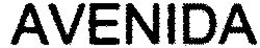 AVENIDA trademark