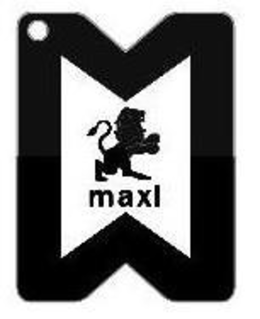MAXI trademark