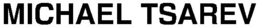 MICHAEL TSAREV trademark