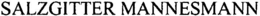 SALZGITTER MANNESMANN trademark