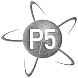 P5 trademark