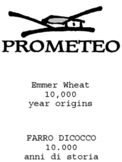 PROMETEO EMMER WHEAT 10,000 YEAR ORIGINS FARRO DICOCCO 10.000 ANNI DI STORIA trademark