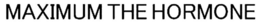 MAXIMUM THE HORMONE trademark