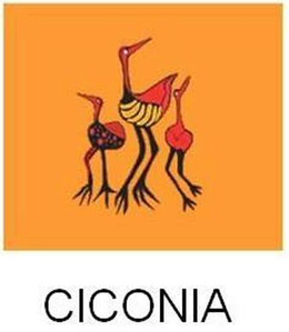 CICONIA trademark