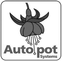 AUTO POT SYSTEMS trademark