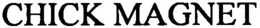 CHICK MAGNET trademark