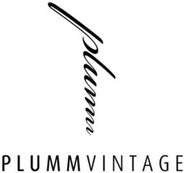 PLUMM PLUMMVINTAGE trademark