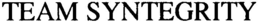 TEAM SYNTEGRITY trademark
