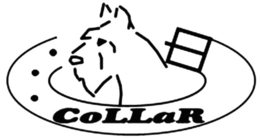 COLLAR trademark