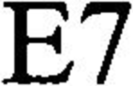 E7 trademark