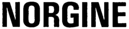 NORGINE trademark