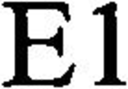 E1 trademark