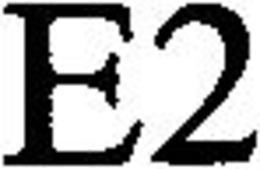 E2 trademark