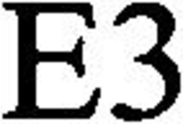 E3 trademark