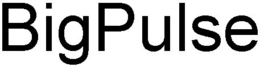 BIGPULSE trademark