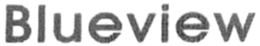 BLUEVIEW trademark