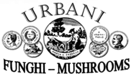 URBANI FUNGHI - MUSHROOMS trademark