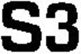 S3 trademark