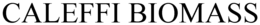 CALEFFI BIOMASS trademark