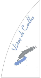 VINAS DE CALLES trademark