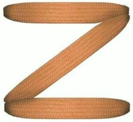 Z trademark