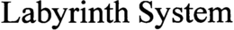 LABYRINTH SYSTEM trademark