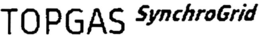 TOPGAS SYNCHROGRID trademark