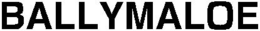 BALLYMALOE trademark