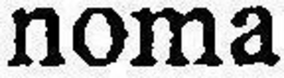NOMA trademark