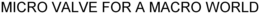 MICRO VALVE FOR A MACRO WORLD trademark