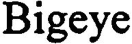 BIGEYE trademark