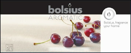 BOLSIUS AROMATIC BOLSIUS, FRAGRANCE YOUR HOME trademark