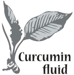 CURCUMIN FLUID trademark