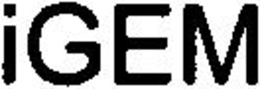 IGEM trademark
