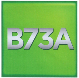 B73A trademark