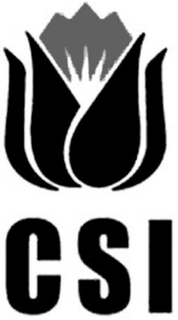 CSI trademark