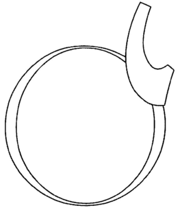 Ò trademark