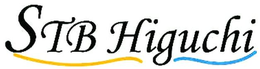 STB HIGUCHI trademark
