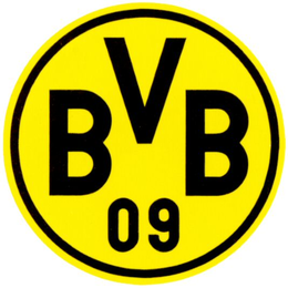 BVB 09 trademark