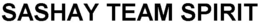 SASHAY TEAM SPIRIT trademark