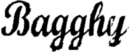 BAGGHY trademark