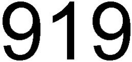 919 trademark