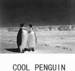 COOL PENGUIN trademark