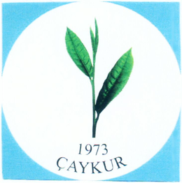 ÇAYKUR 1973 trademark