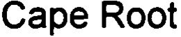 CAPE ROOT trademark