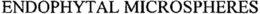 ENDOPHYTAL MICROSPHERES trademark