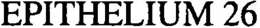 EPITHELIUM 26 trademark