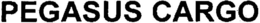 PEGASUS CARGO trademark