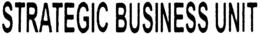 STRATEGIC BUSINESS UNIT trademark