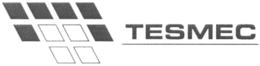 T TESMEC trademark